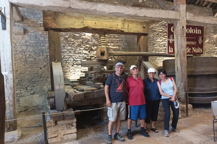 Private Beaune Wine Tour Explore Cellars and Taste Burgundy Wines