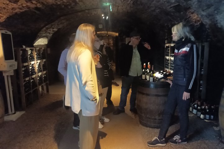 Private Beaune Wine Tour Explore Cellars and Taste Burgundy Wines