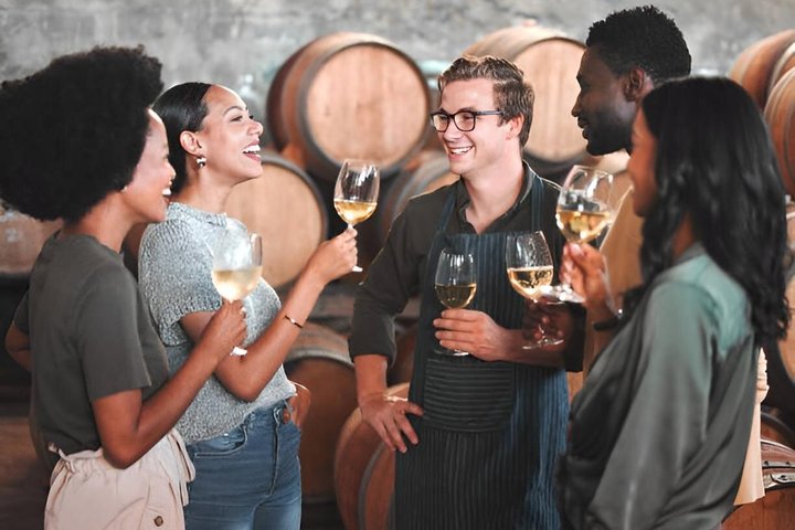 Private Beaune Wine Tour Explore Cellars and Taste Burgundy Wines