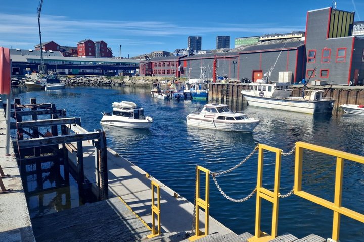 Nuuk Fjord Cruise with Greenlandic Picnic & Local Storytelling