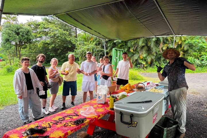 Hilo Cruise Day Tours