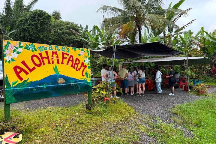 Hilo Cruise Day Tours