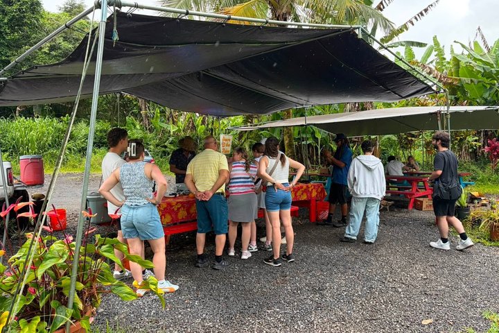 Hilo Cruise Day Tours