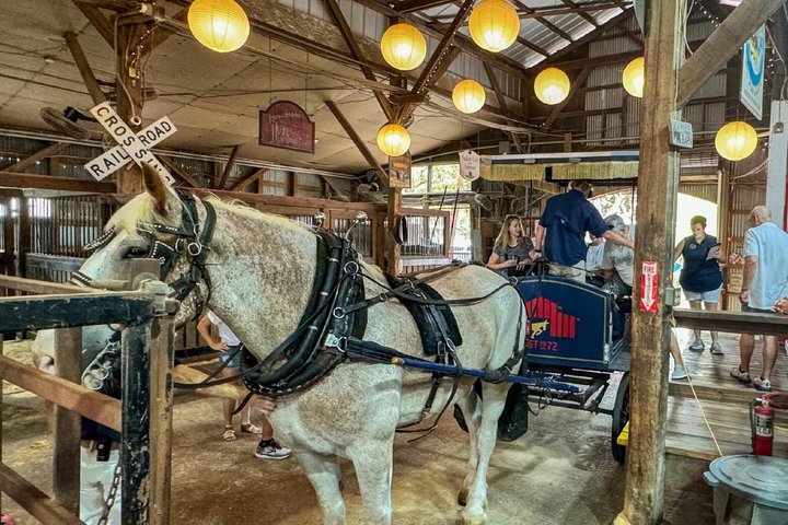 Charleston Horse-Drawn Carriage Tour: Explore Historic Charleston