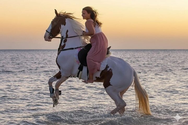 Horse Riding Nabq Bay Beach,Desert Sunrise&Sunset-Sharm El Sheikh