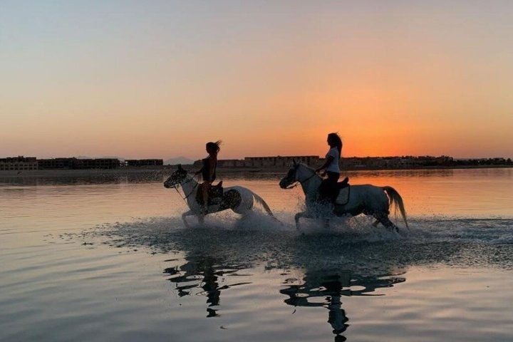 Horse Riding Nabq Bay Beach,Desert Sunrise&Sunset-Sharm El Sheikh