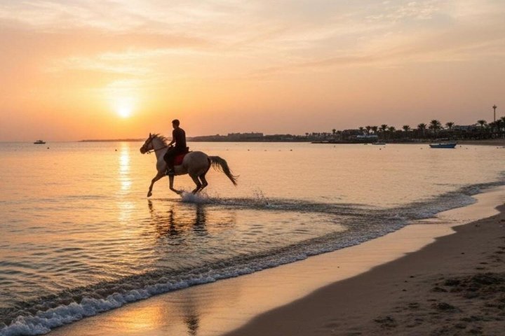 Horse Riding Nabq Bay Beach,Desert Sunrise&Sunset-Sharm El Sheikh