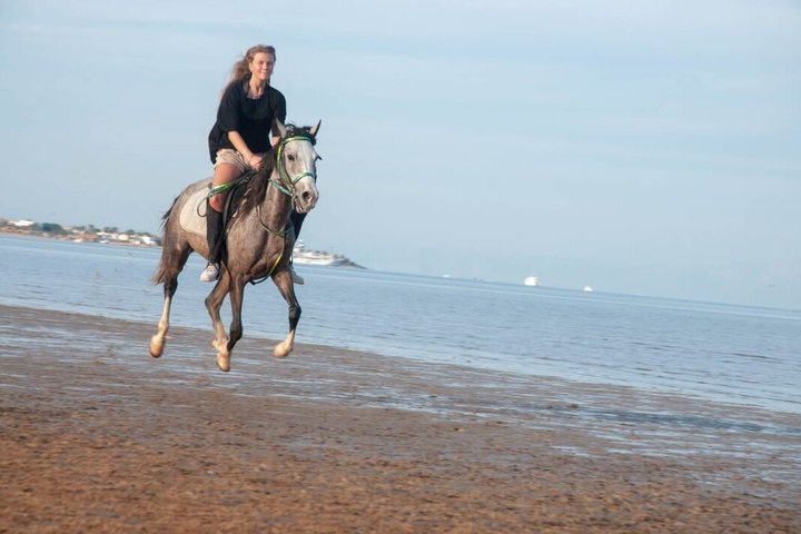 Horse Riding Nabq Bay Beach,Desert Sunrise&Sunset-Sharm El Sheikh
