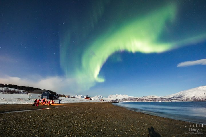 Tromsø: Small Group | Northern Lights Chase + All-Inclusive