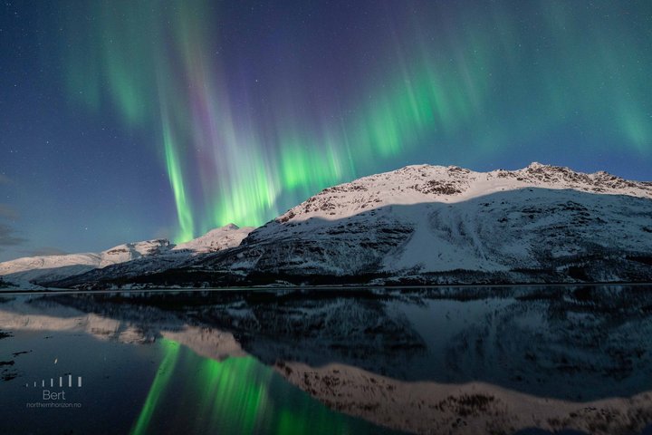 Tromsø: Small Group | Northern Lights Chase + All-Inclusive