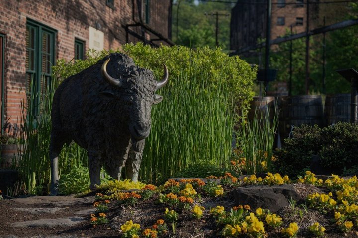 Buffalo Trace Distillery Tour, Tasting, and Transportation