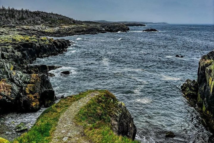 Louisbourg Fortress, Lighthouse & Cliffside Adventure Sydney NS