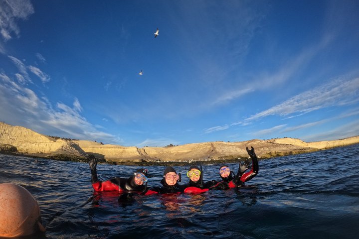Snorkeling with Sea Lions and Wildlife Adventure