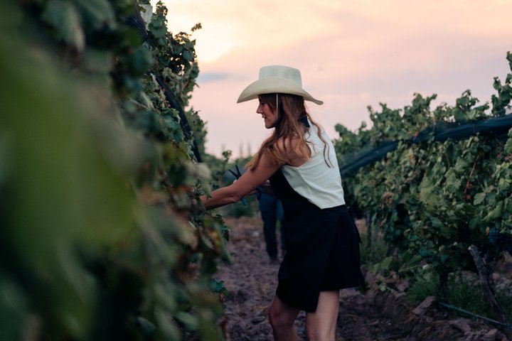 Antigal Winery Tour with Wine Tasting & Choice of Experiences