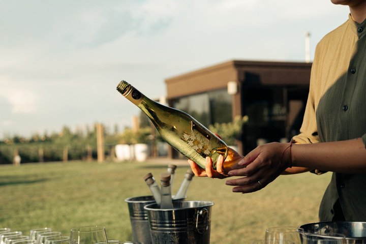 Antigal Winery Tour with Wine Tasting & Choice of Experiences