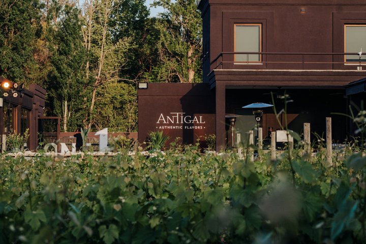 Antigal Winery Tour with Wine Tasting & Choice of Experiences