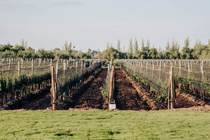 Antigal Winery Tour with Wine Tasting & Choice of Experiences