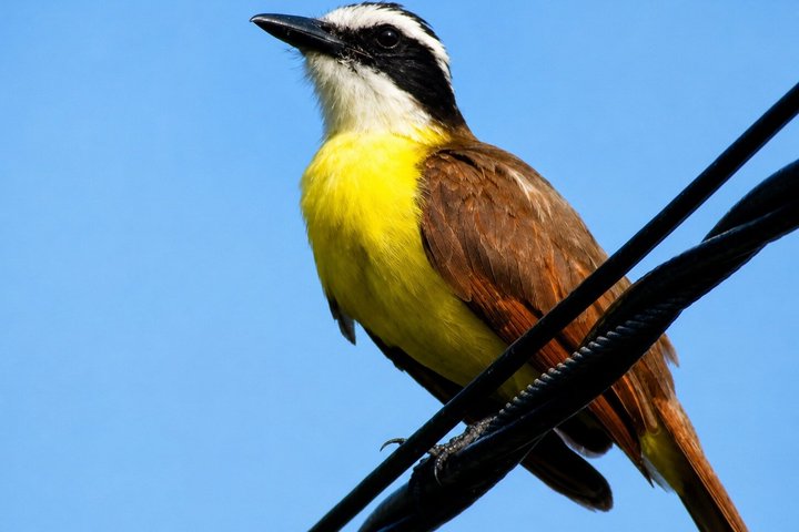 One Day Tour on Ometepe : Waterfall - Kayaking - Sunset