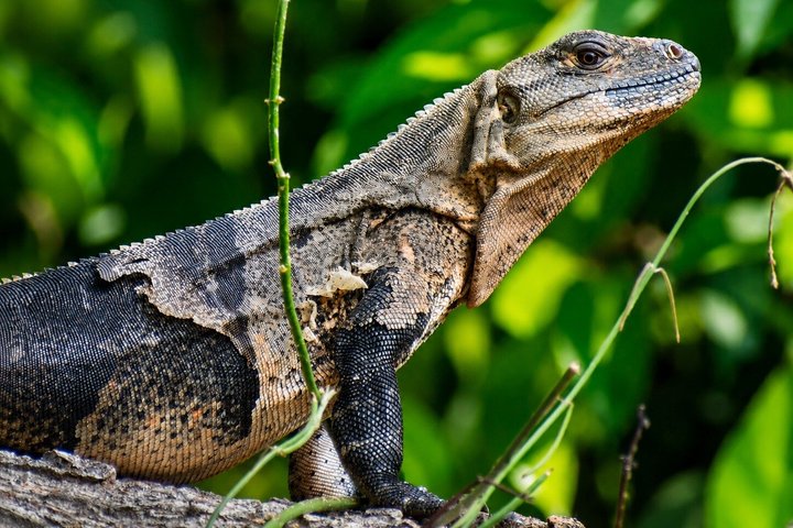 Ometepe trekking - Volcano Maderas By Happy Tours