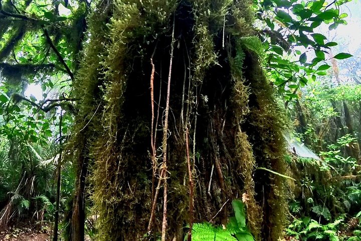 Ometepe trekking - Volcano Maderas By Happy Tours