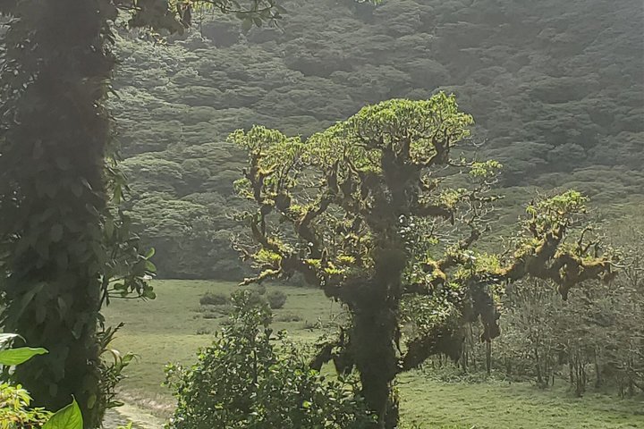 Ometepe trekking - Volcano Maderas By Happy Tours