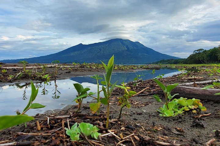 Ometepe trekking - Volcano Maderas By Happy Tours