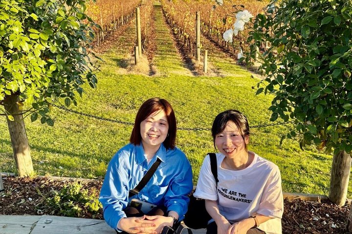 Yarra Valley Half-Day Winery Tour from Melbourne with Small Group