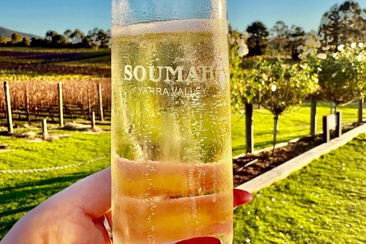 Yarra Valley Half-Day Winery Tour from Melbourne with Small Group