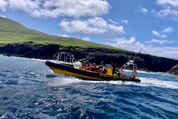 Dingle Sea Safari - Rib boat tour in Dingle Bay