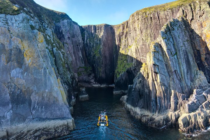 Dingle Sea Safari - Rib boat tour in Dingle Bay