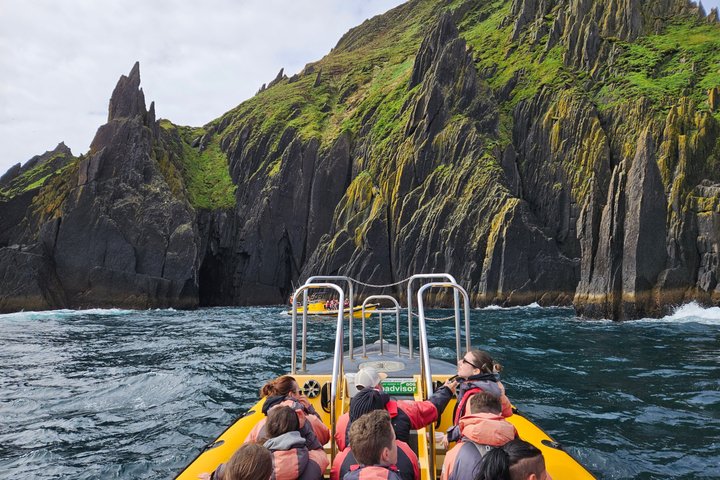 Dingle Sea Safari - Rib boat tour in Dingle Bay