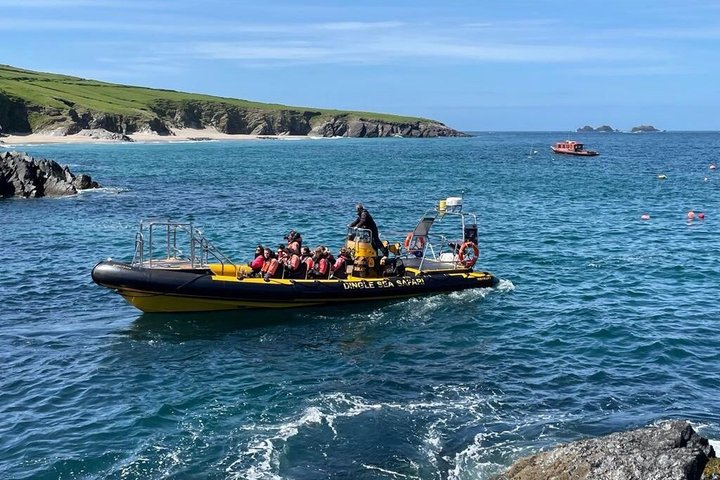 Dingle Sea Safari - Rib boat tour in Dingle Bay