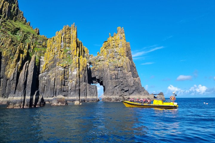 Dingle Sea Safari - Rib boat tour in Dingle Bay