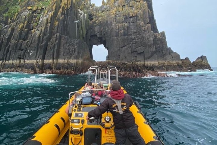 Dingle Sea Safari - Rib boat tour in Dingle Bay
