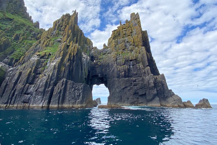 Dingle Sea Safari - Rib boat tour in Dingle Bay