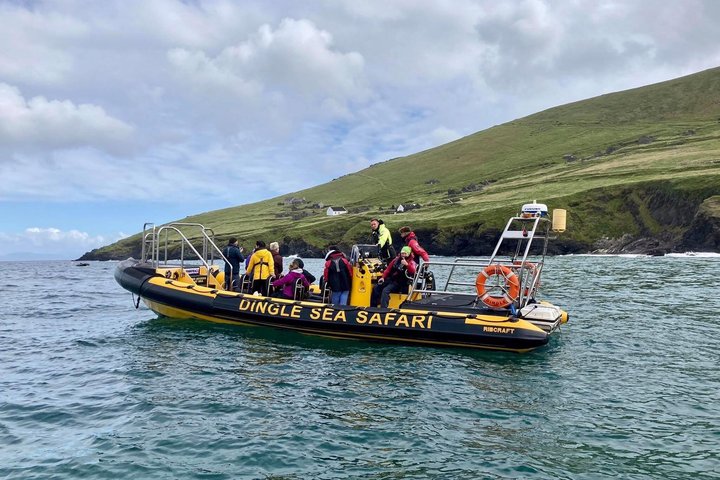 Dingle Sea Safari - Rib boat tour in Dingle Bay