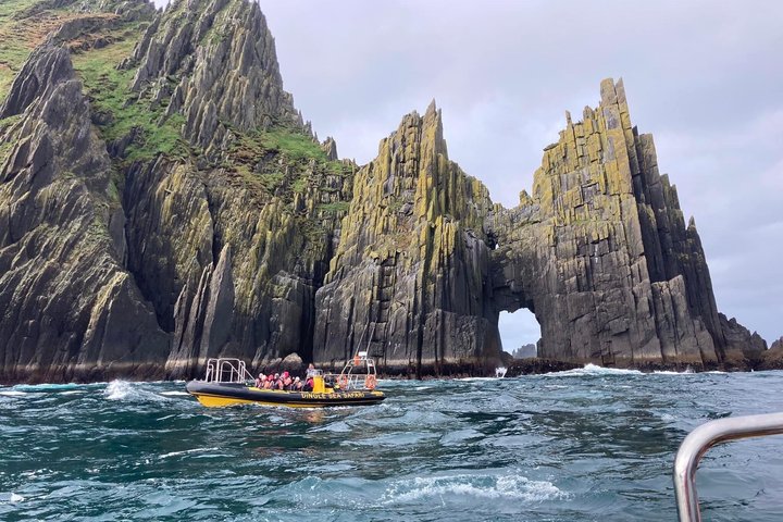 Dingle Sea Safari - Rib boat tour in Dingle Bay