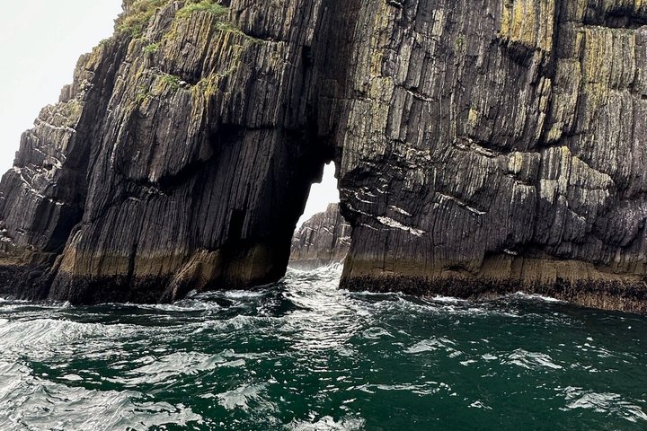 Dingle Sea Safari - Rib boat tour in Dingle Bay