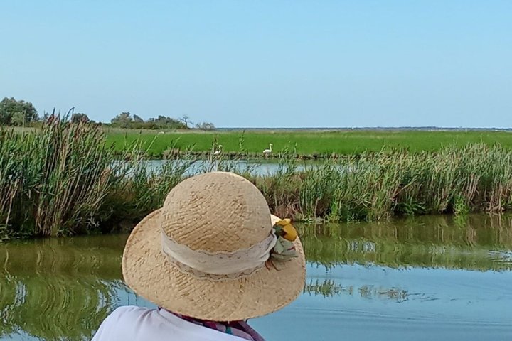 Explore Isola dell’Amore and wildlife on a Po Delta Boat Tour