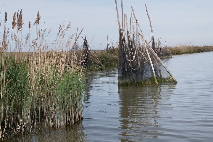 Explore Isola dell’Amore and wildlife on a Po Delta Boat Tour