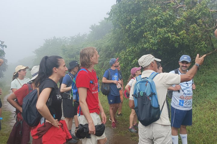 Walking Tour to Sierra Negra volcano and Chico Volcano from Isabela Island