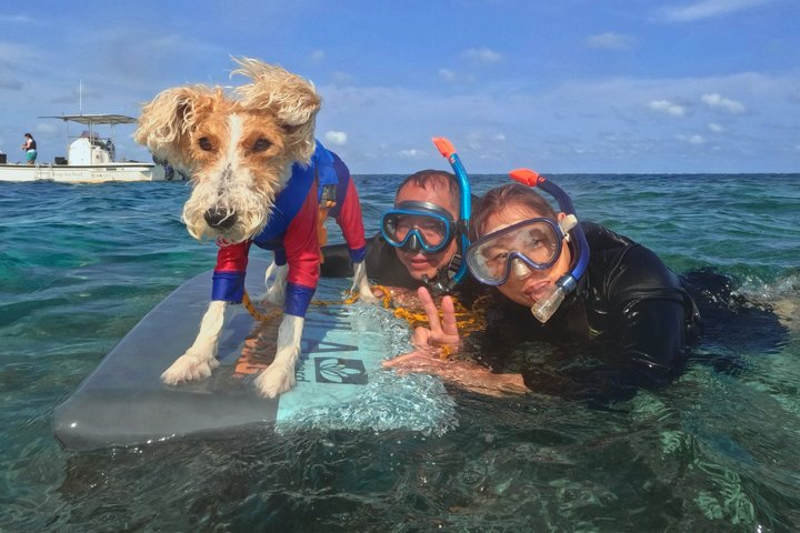 6Hour Luxury Okinawa Private Charter: Snorkeling & Jet Ski