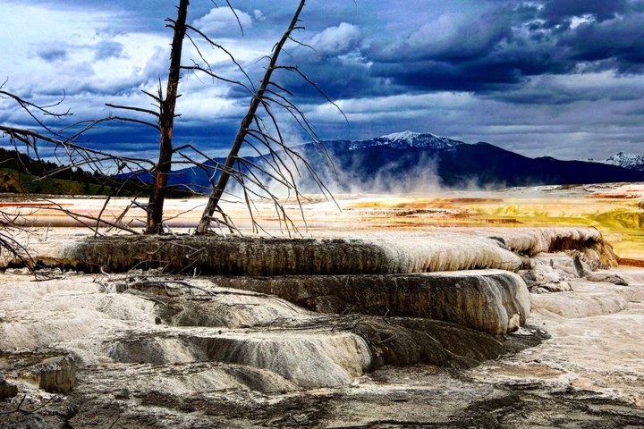 Yellowstone Grand Teton & Jackson Hole 5-day Fully Guided Tour