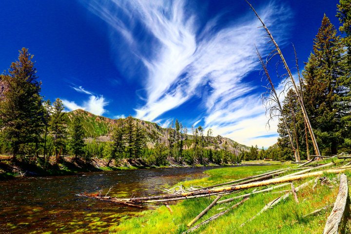 Yellowstone Grand Teton & Jackson Hole 5-day Fully Guided Tour