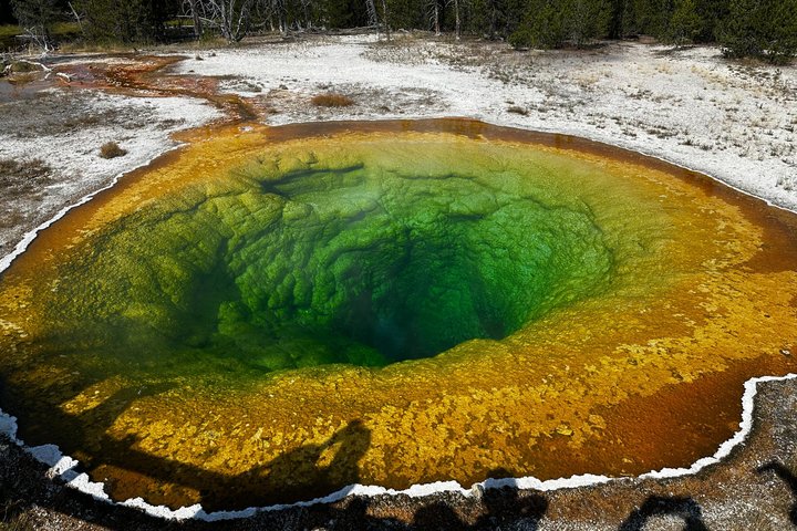 Yellowstone Grand Teton & Jackson Hole 5-day Fully Guided Tour
