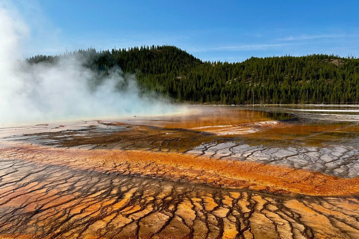 Yellowstone Grand Teton & Jackson Hole 5-day Fully Guided Tour