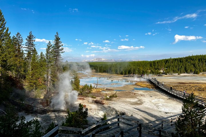 Yellowstone Grand Teton & Jackson Hole 5-day Fully Guided Tour