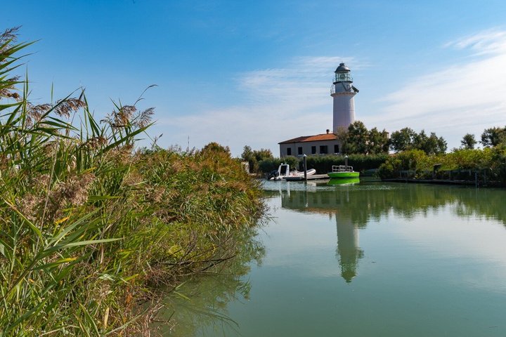 Explore Isola dell’Amore and wildlife on a Po Delta Boat Tour