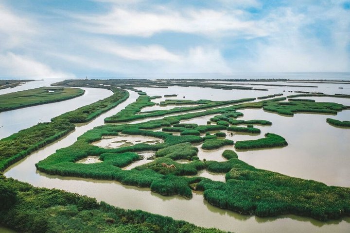 Explore Isola dell’Amore and wildlife on a Po Delta Boat Tour