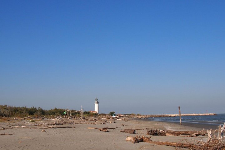 Explore Isola dell’Amore and wildlife on a Po Delta Boat Tour